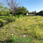 Tanah 319are cendrawasih Patitenget 02 balipropertyagent.com