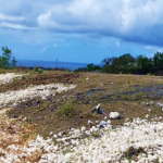 img06 balipropertyagent.com