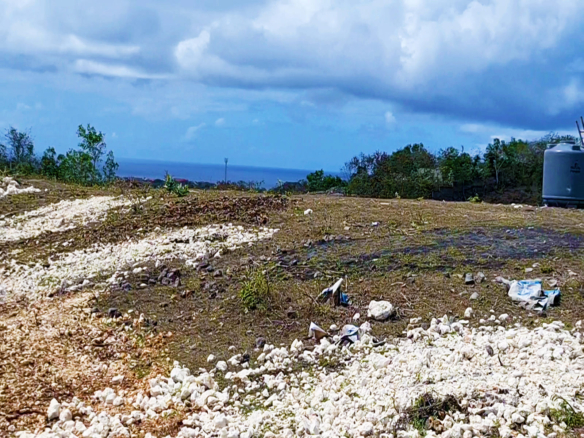 img06 balipropertyagent.com