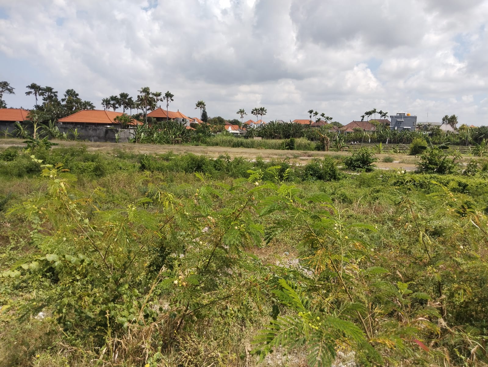 WhatsApp Image 2025 10 13 at 9.50.06 AM balipropertyagent.com