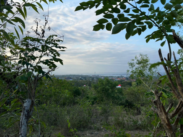 WhatsApp Image 2026 01 16 at 4.27.09 PM 1 1 balipropertyagent.com