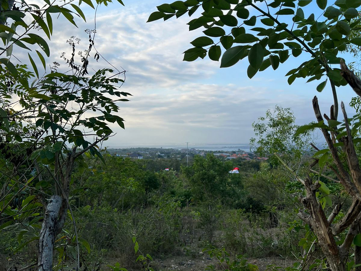 WhatsApp Image 2026 01 16 at 4.27.09 PM 1 1 balipropertyagent.com