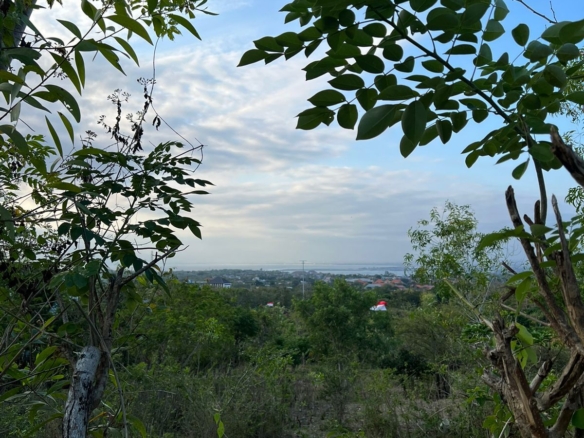 WhatsApp Image 2026 01 16 at 4.27.09 PM 1 balipropertyagent.com